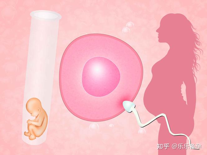 武汉供卵试管产子-武汉试管产子:供卵助孕新选择