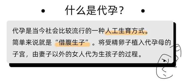 代生个孩子_代生个孩子：关于生育代孕的一切 - 副本